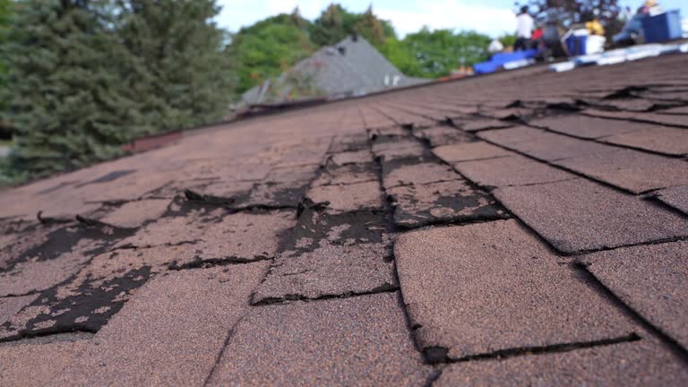 Best Roofing for New Construction  in Lucedale, MS