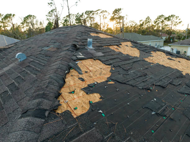 Best Roof Ventilation Installation  in Lucedale, MS
