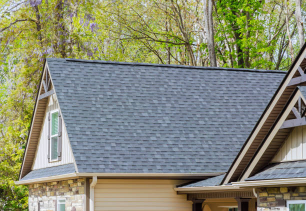 Professional Roofing Services in Lucedale, MS